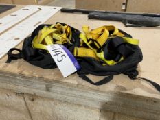 Two Fall Arrest Harnesses