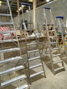 Eight Rise Alloy Stepladder