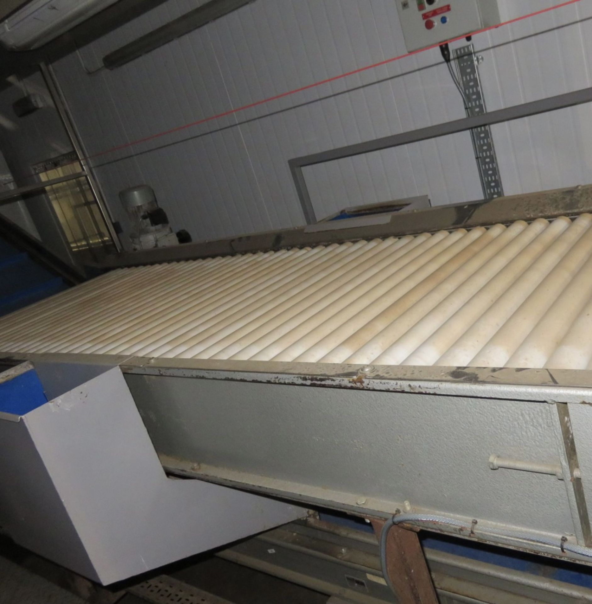 Inspection Conveyor, with platform steps, rollers - Image 5 of 5