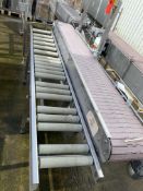 Packaging Conveyor, with stainless steel frame, pl