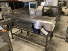 Cintex Checkweigher, approx. 40cm belt, push arm r