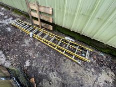 Two Alloy Ladders