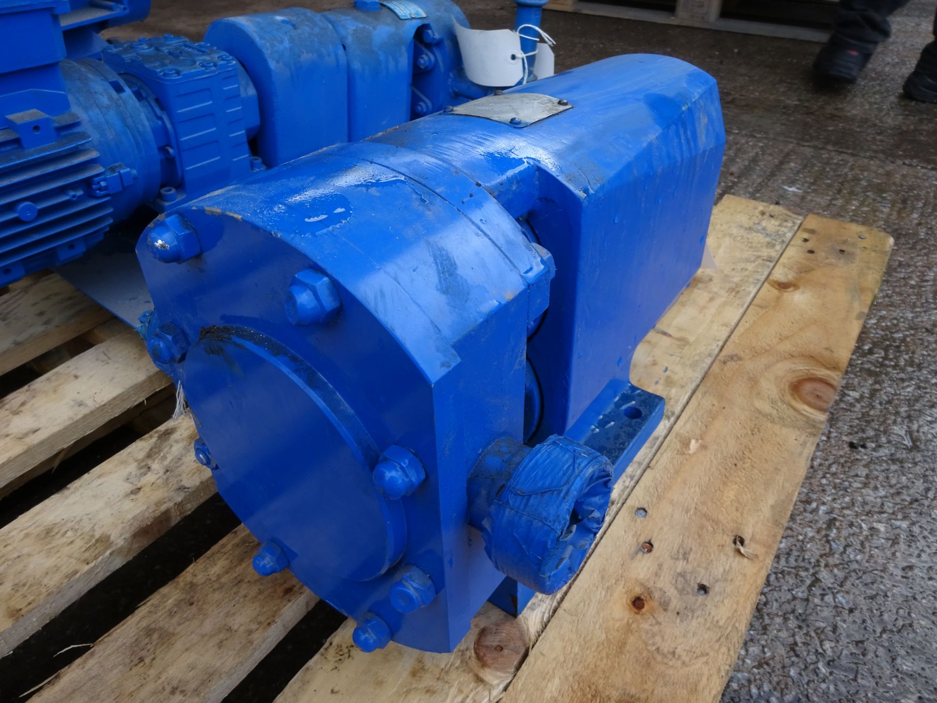 Alfa Laval SR/3/027/LS SR Rotary Lobe Pump, serial no. 93 0008 /01C, plant no. 42, free loading onto - Image 6 of 6