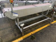 Packaging Conveyor, with stainless steel frame, pl