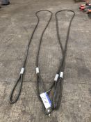 Two 10 tonne capacity Wire Rope Slings, 12m, year