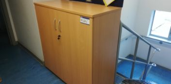 Light Oak Veneered Double Door Cupboard