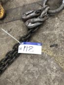 Crosby 11.2 tonne capacity 2 Leg Lifting Chain, 5.