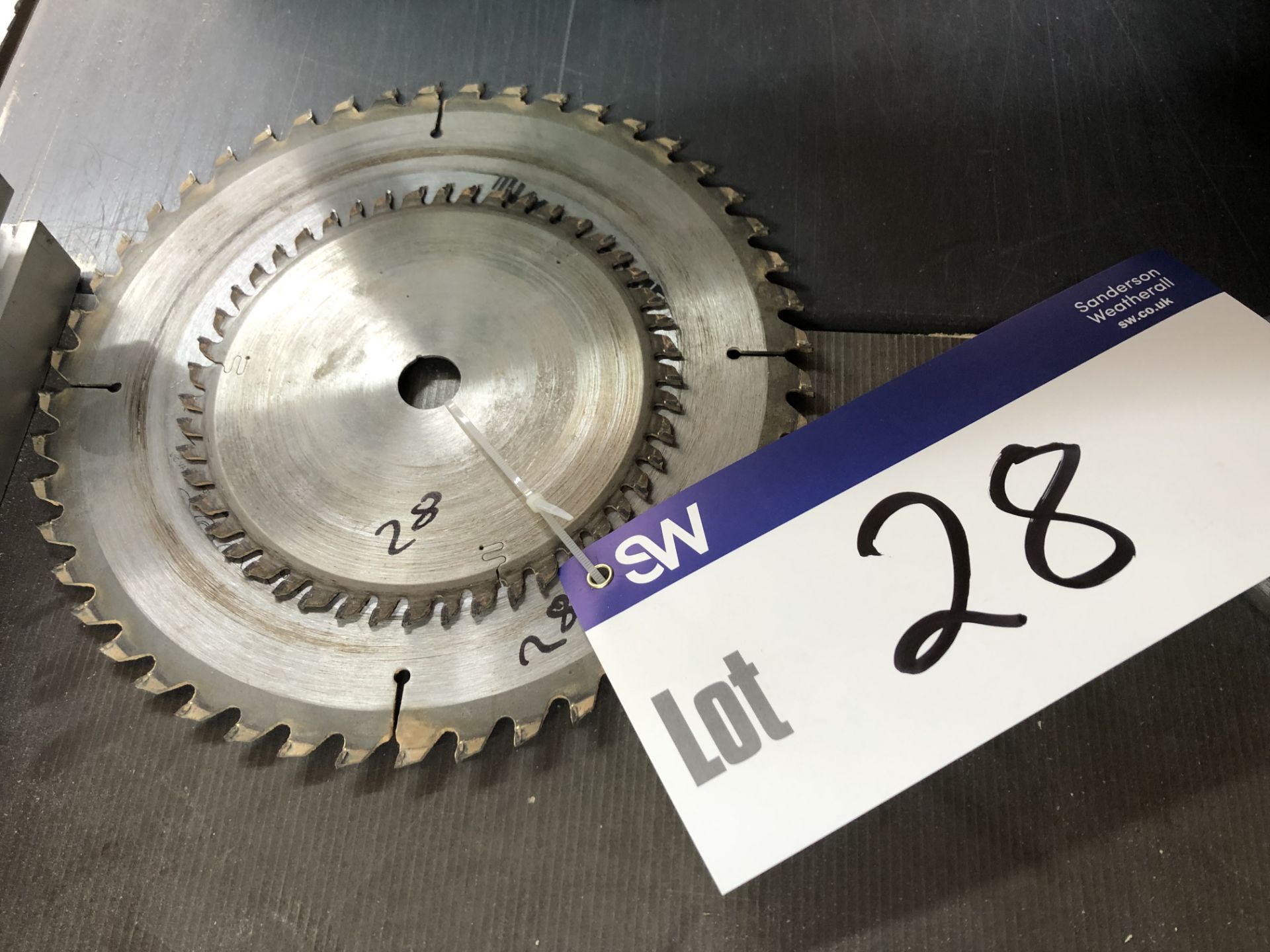 Two Circular Saw Blades