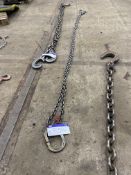 Twin Leg Lifting Chain, approx. 3.5m longPlease read the following important notes:- ***Overseas