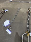 Twin Leg Lifting Chain, approx. 1.4m longPlease read the following important notes:- ***Overseas
