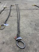 Twin Leg Lifting Chain, approx. 4.6m longPlease read the following important notes:- ***Overseas