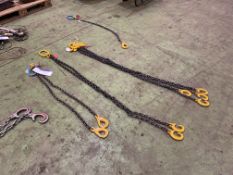 Four Assorted Lifting Chains, as set out in one areaPlease read the following important notes:- ***