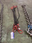 Assorted Lifting Chains, as set outPlease read the following important notes:- ***Overseas