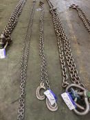 Twin Leg Lifting Chain, approx. 4.3m longPlease read the following important notes:- ***Overseas