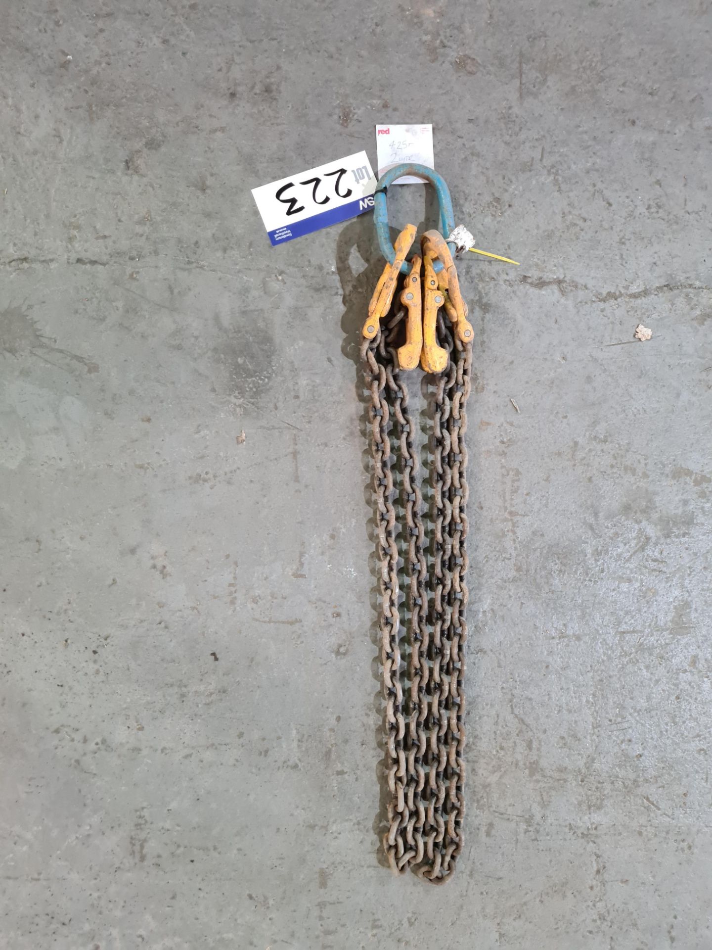 Two Leg Lifting Chain