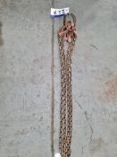 Two Leg Lifting Chain