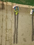 Two Leg Lifting Chain