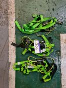 Three Safety Harnesses