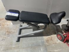 Adjustable Workout Bench