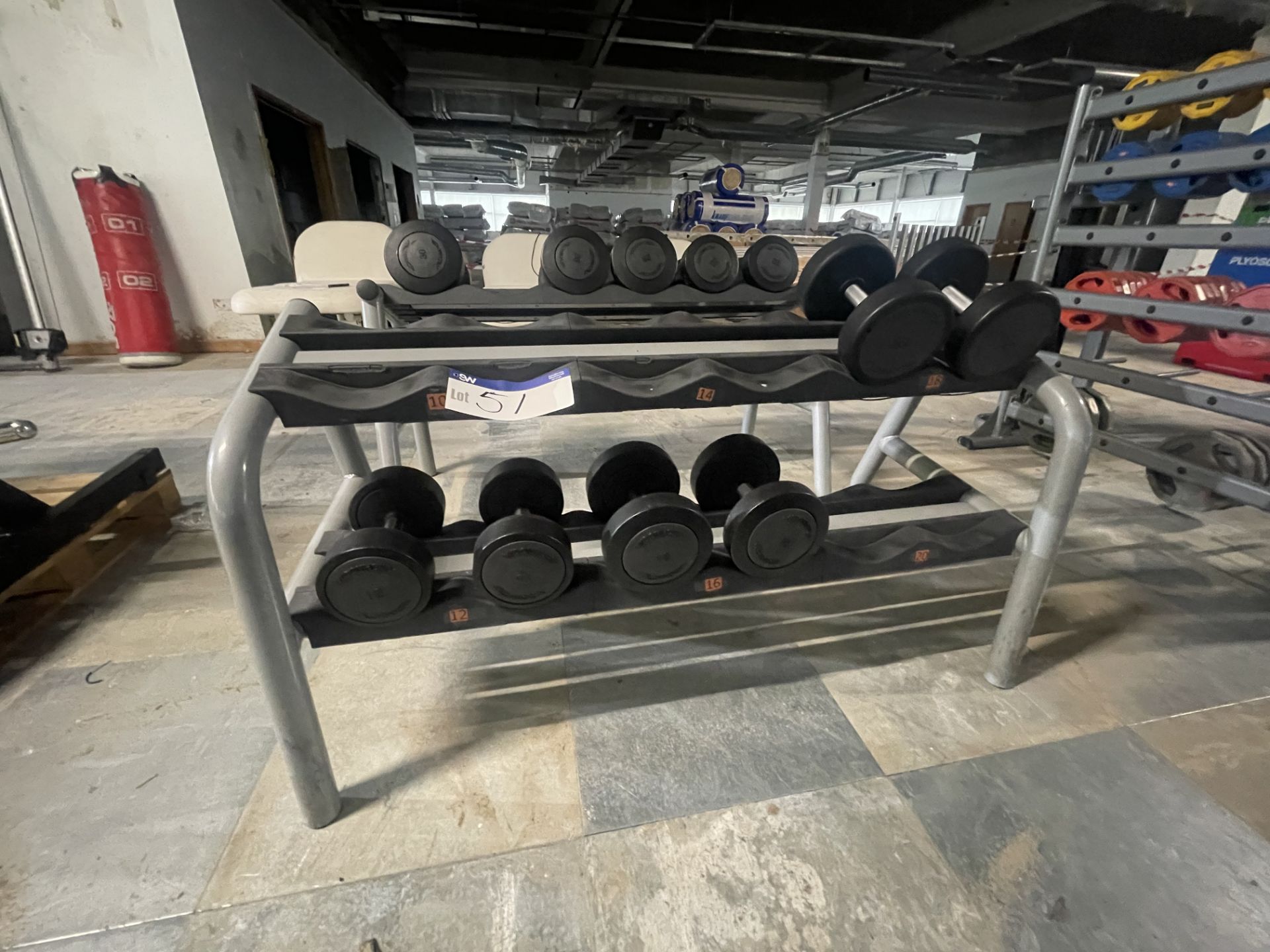 12 Section Dumbbell Stand