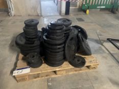 Assorted Technogym Plates