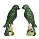 Pair of Chinese Sancai Glazed Parrots