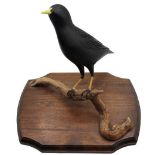 Wooden Bird on Perch