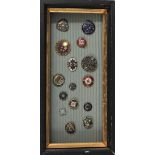 Framed Collection of Enameled Buttons