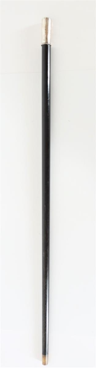 Metal and Ebony Wood Cane