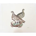 Mitford, Hand-Colored Engraving, Ptarmigan 19th C.