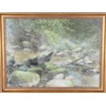 Gloria Young, Forest Pastel