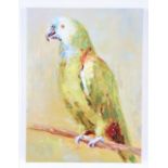 21st C American giclee on Canvas, Parrot