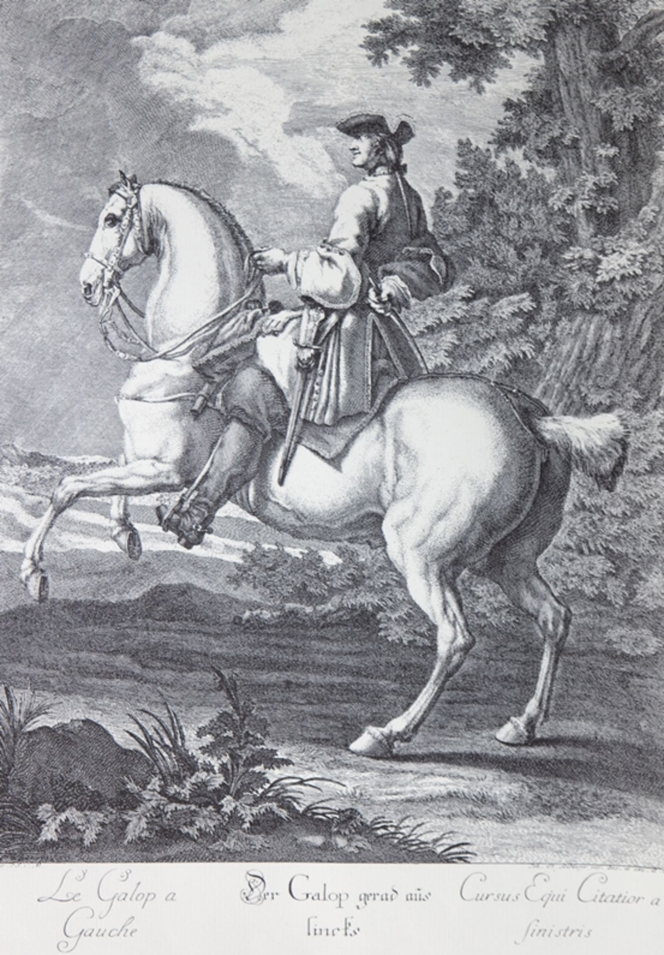 Ridinger, Johann Elias (1698 Ulm-1767 Augsburg) "Der Galop gerad aus lincks", Reitschulblatt, Kupfe