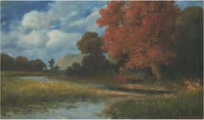 Arnegger, Alois (1879 Wien-1963) "Herbstlandschaft mit Bachlauf", Öl/Lw., signiert u.r., 30,5x49,5 