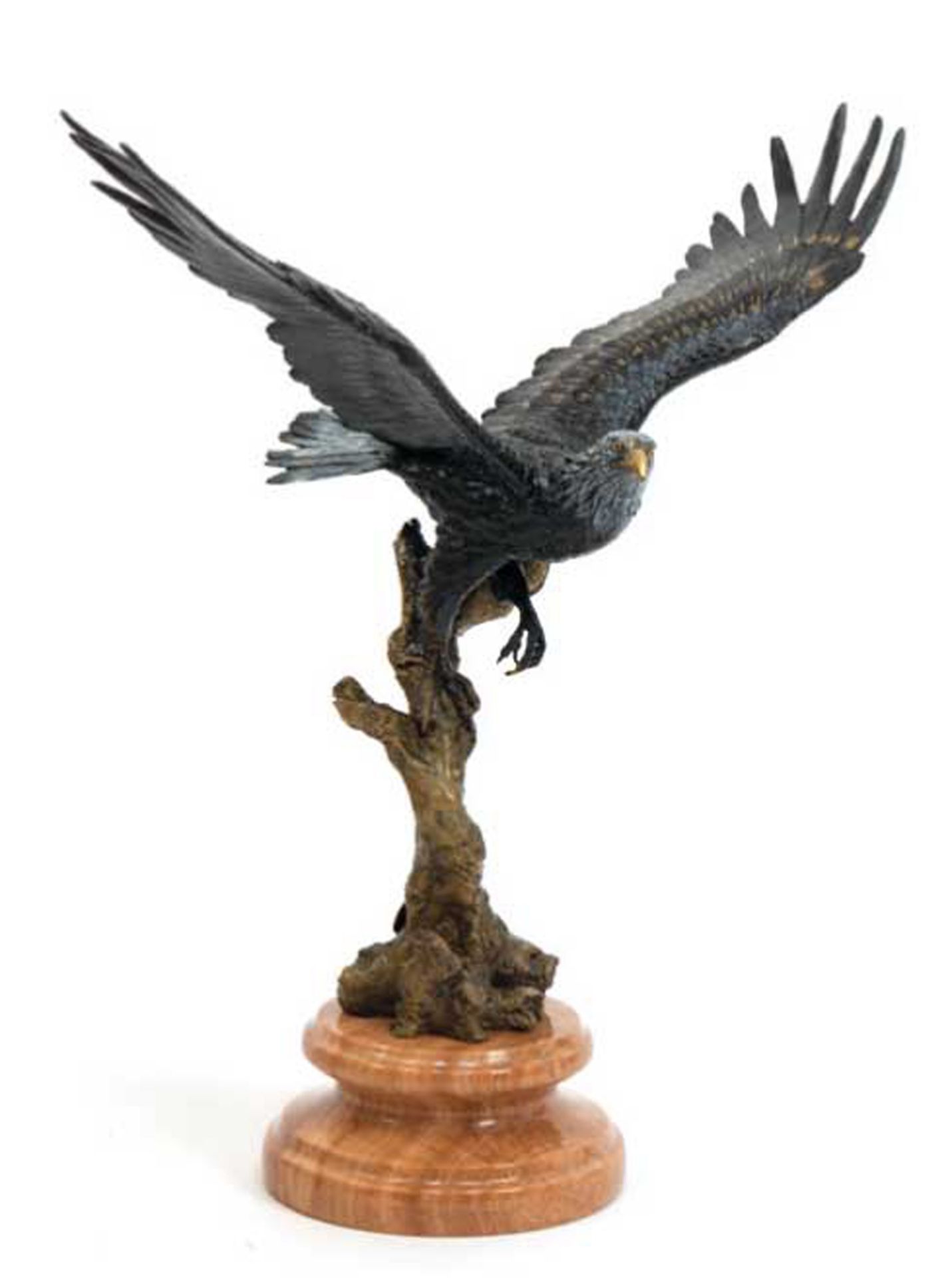 Bronze-Figur "Adler mit ausgebreiteten Flügeln auf Ast sitzend", Nachguß, braun und weiß gefaßt, Gi