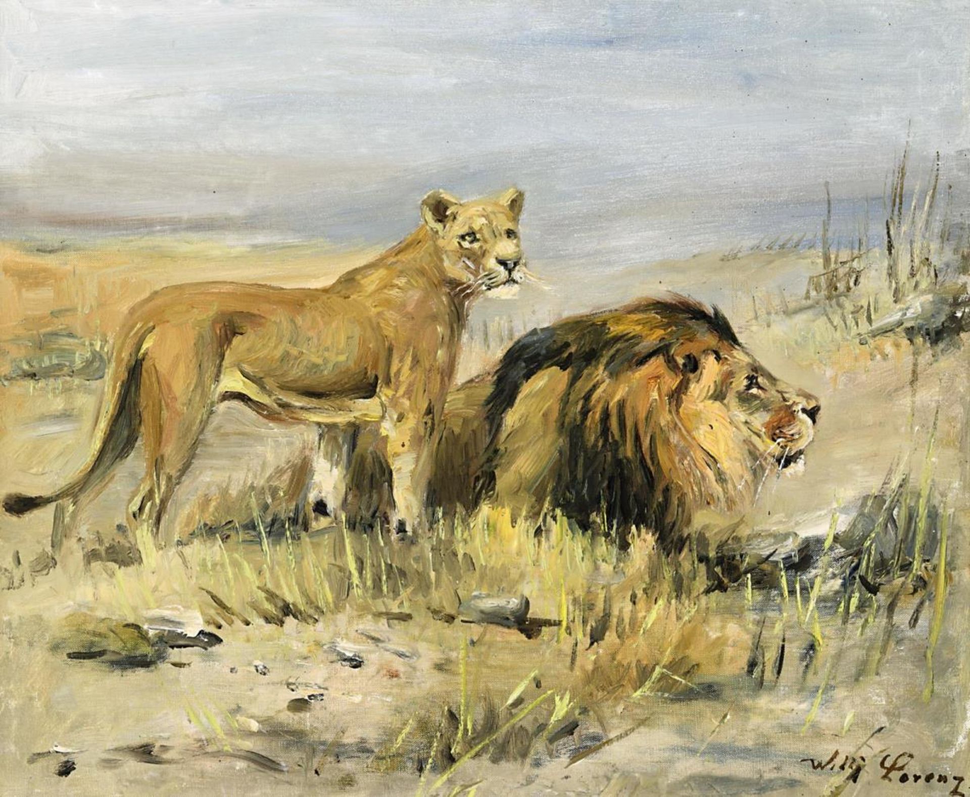 Löwenpaar in der Savanne