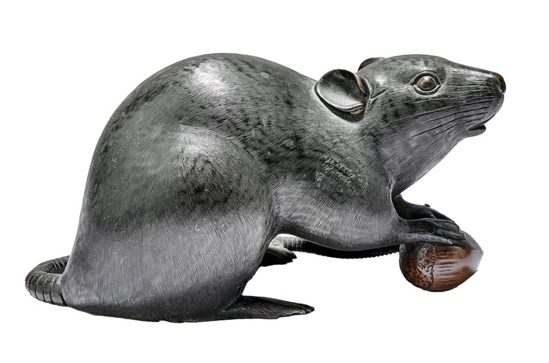 Ratte mit Kastanie in Vorderpfoten