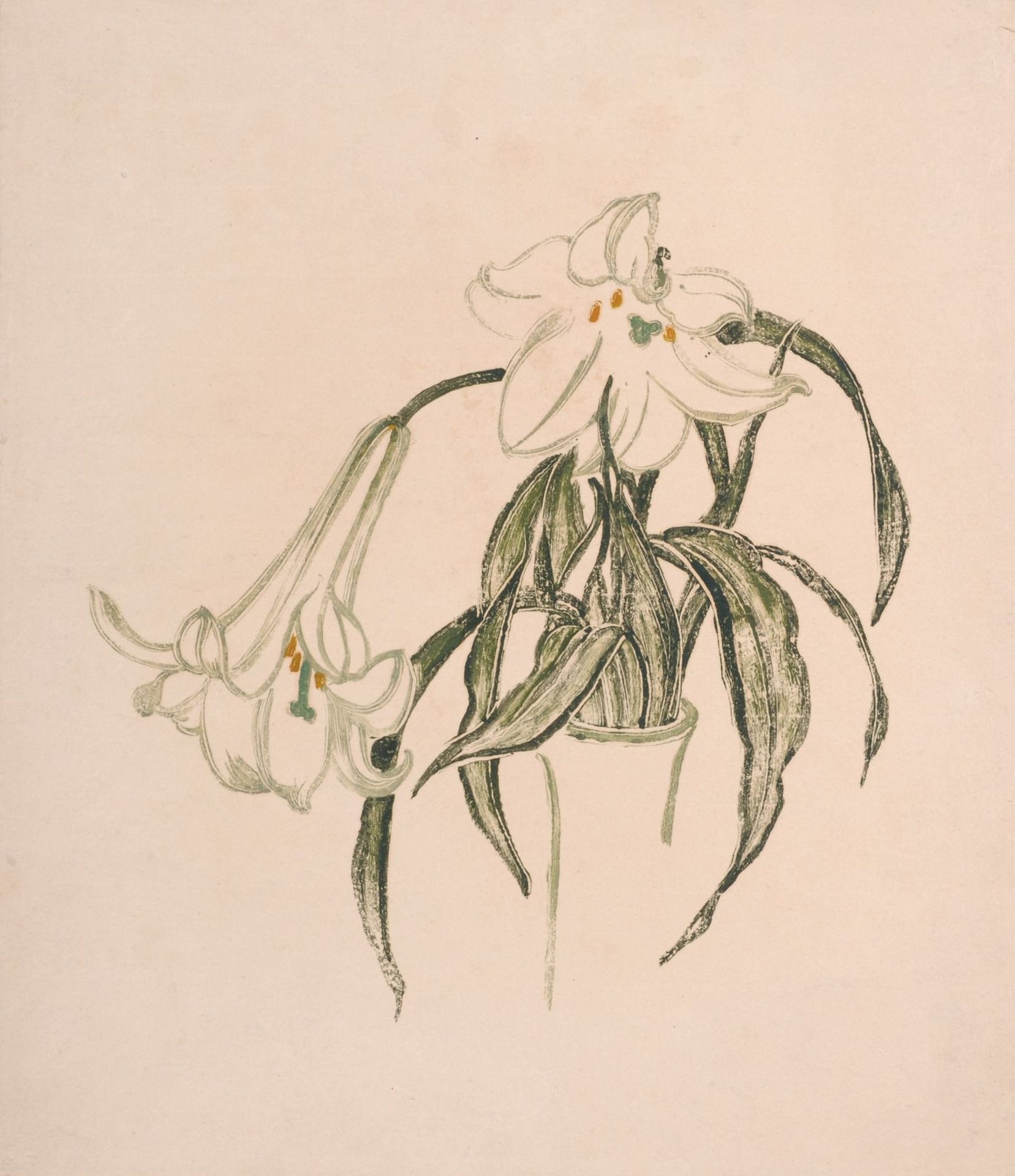 Arno Drescher, Weiße Calla und zwei weitere Blumendarstellungen. Um 1912.