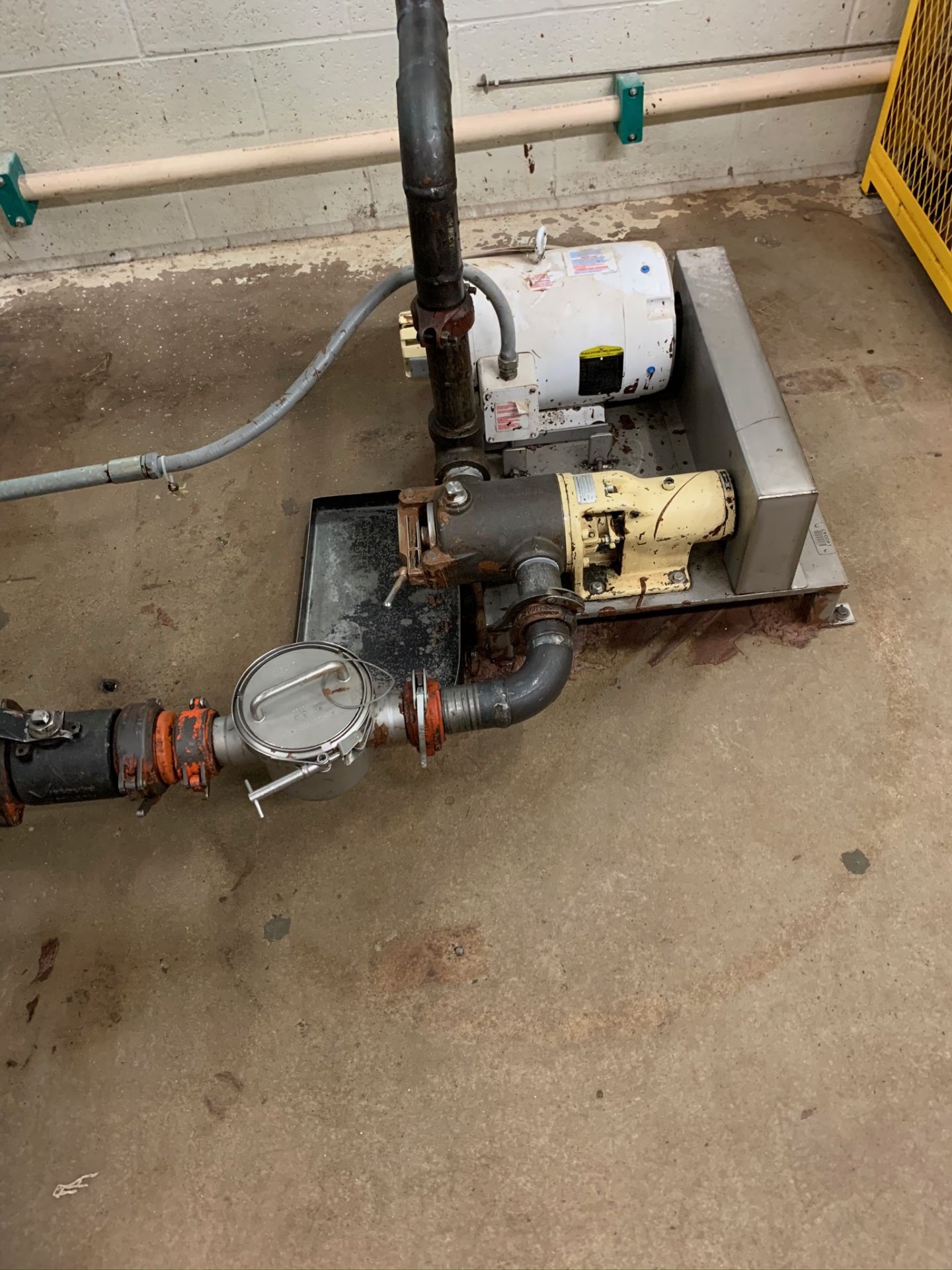 (Located in Burlington WI) Process Pump and Inline Magnet