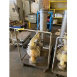 Double Diaphram Pump Rigging Price $25