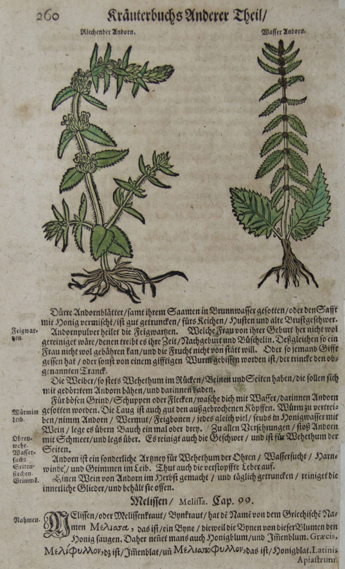 Pflanzen. - Heilpflanzen. - Konvolut von 134 Blatt mit Darstellungen verschiedener Heilpflanzen in - Image 2 of 2