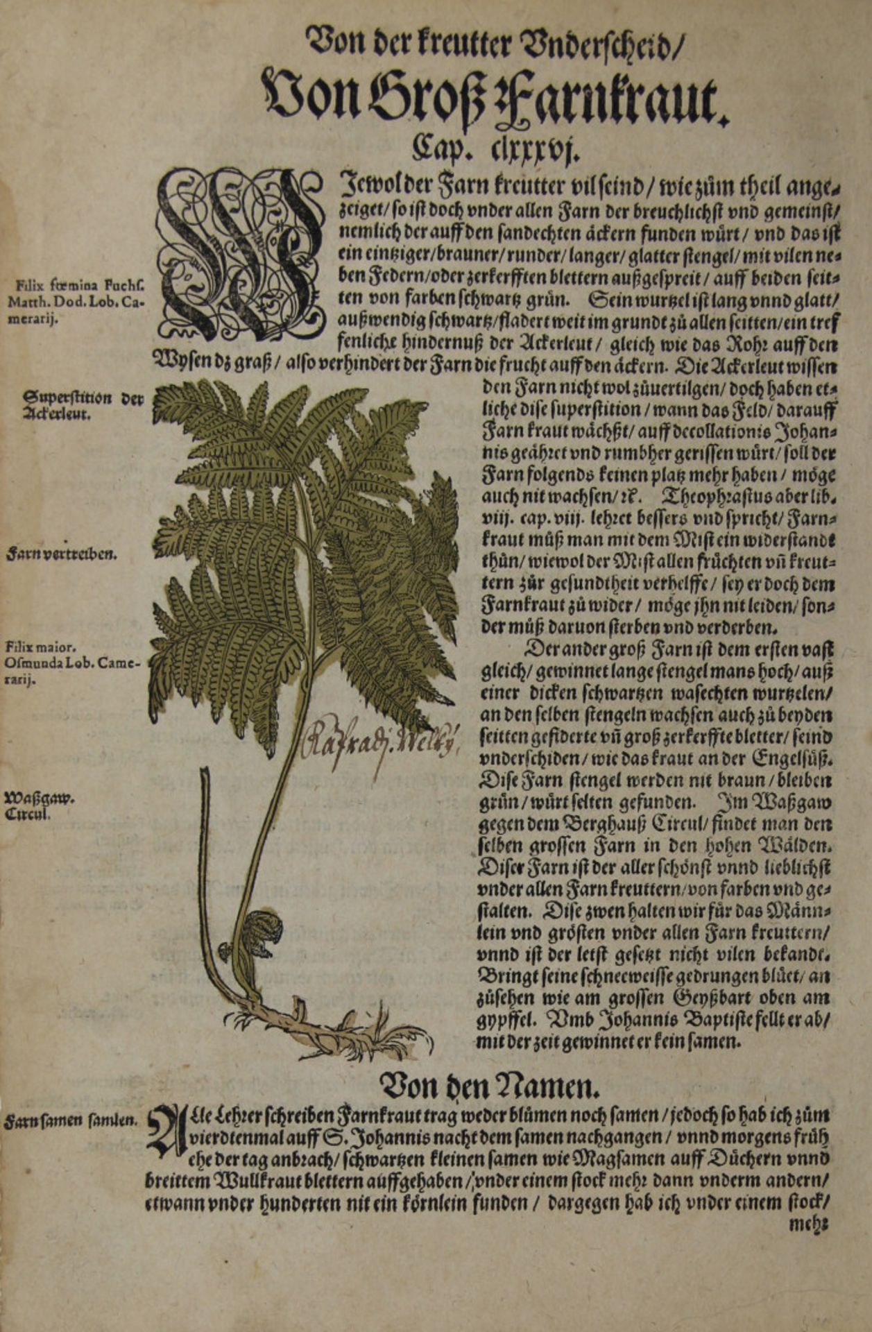 Pflanzen. - Heilpflanzen. - Konvolut von 134 Blatt mit Darstellungen verschiedener Heilpflanzen in