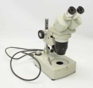 MikroskopEuromex Arnhem/ Holland, Okulare 8WF10x
