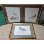 A pair of Coloured prints of Game Birds along with another after Joel Kirk. Game Birds 23.5 x 30