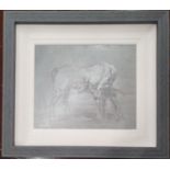 Con Campbell. Born 1949. Oil on Board. 'Mare and Foal'. Framed size 45 x 40 cms approx.