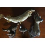 A quantity of Vintage Taxidermy Items.
