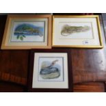 Three really good Watercolours of Reptiles.