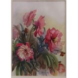 A lovely 20th Century Watercolour of Peony Roses. By John Walker. Signed. 26.5 x 37.5 cms approx.