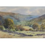 A 20th Century Watercolour of Sheep in a valley by E Charles Jemison. Signed LL. 36x30cm.