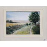 A 20th Century Pastel of a Country scene by Patricia Winsley. Signed LL. 35 x 25 cms. approx.